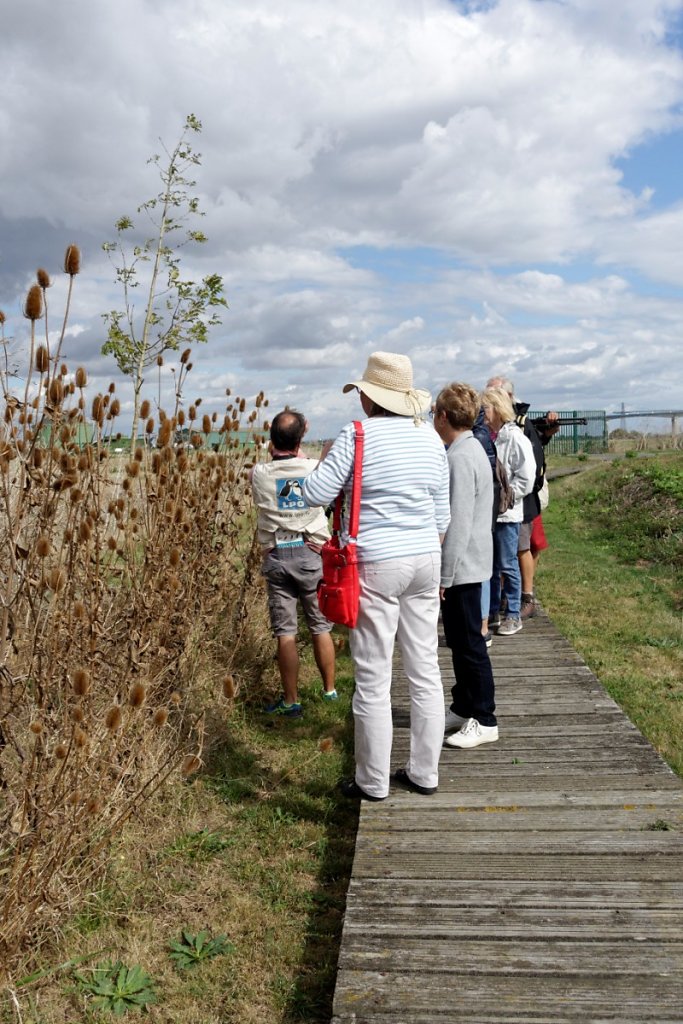 En route vers l'observatoire
