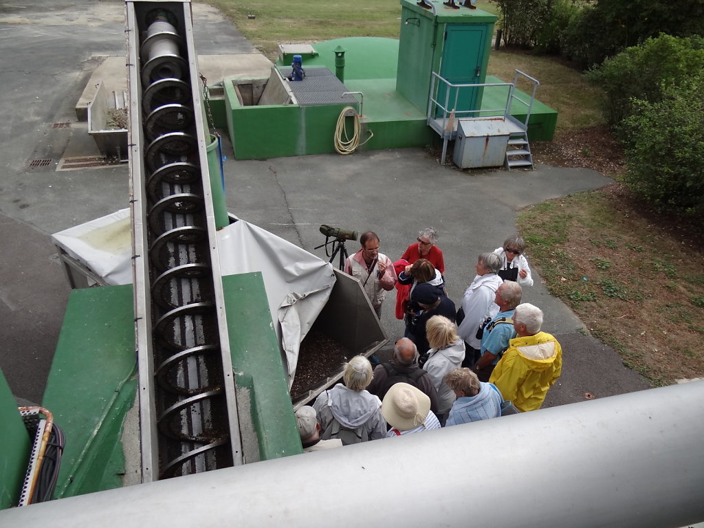 Vis sans fin pour transporter  déchets solides