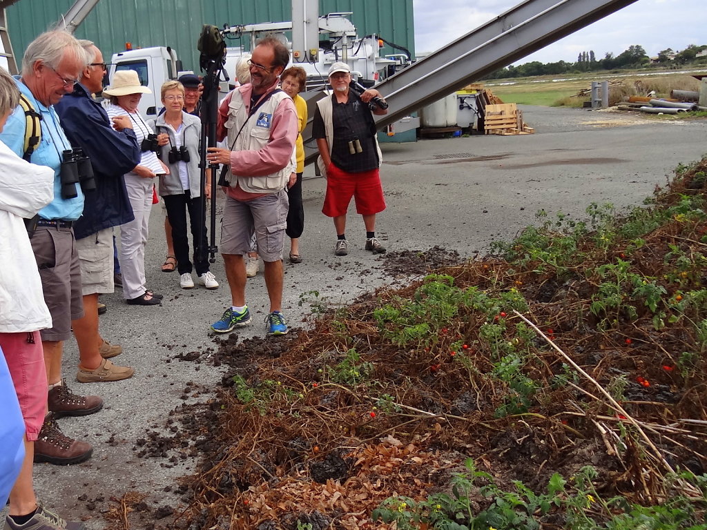 On peut même goûter !