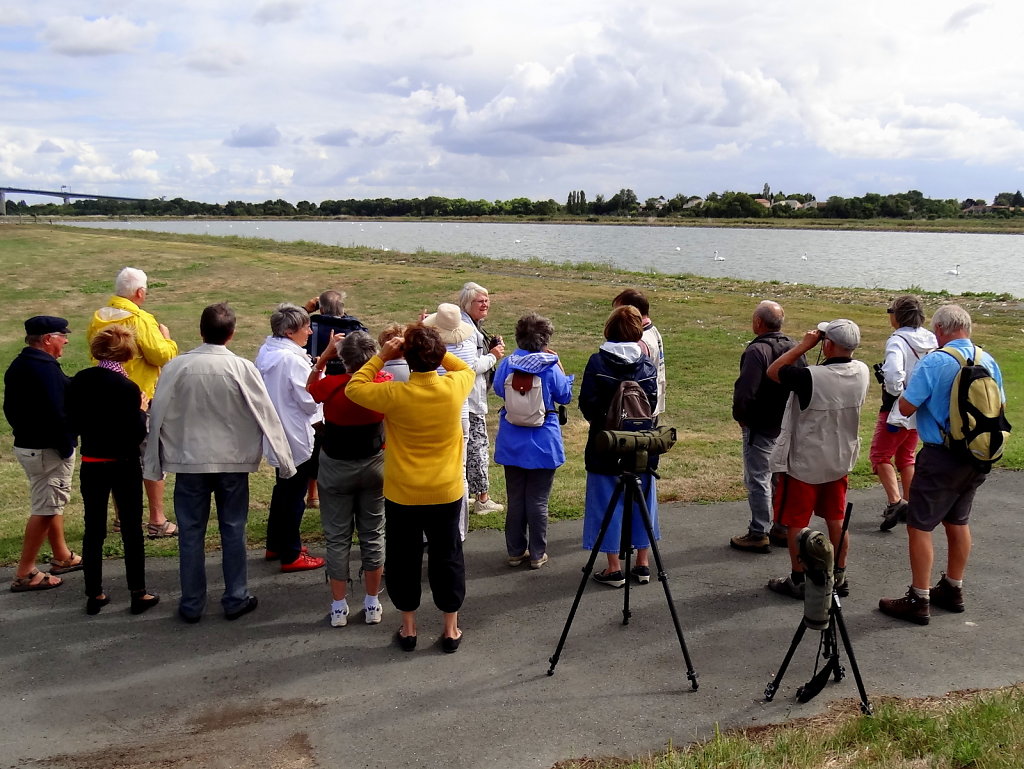 premières observations d'oiseaux