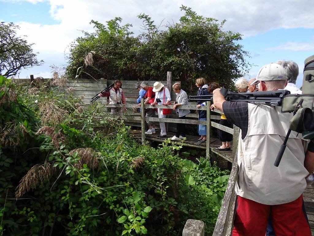 Passerelle d'accès à l'observatoire