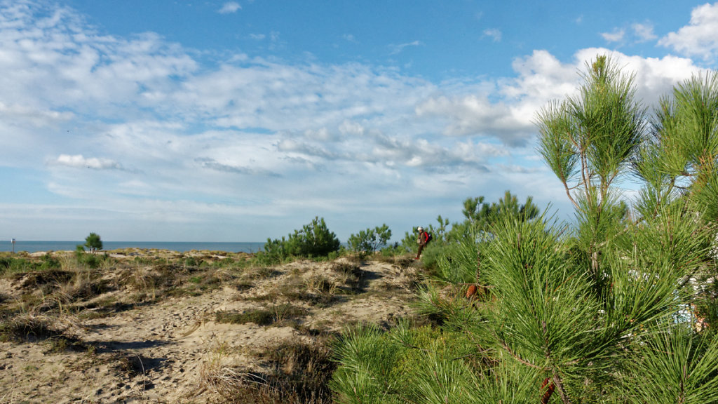 La dune et l'océan