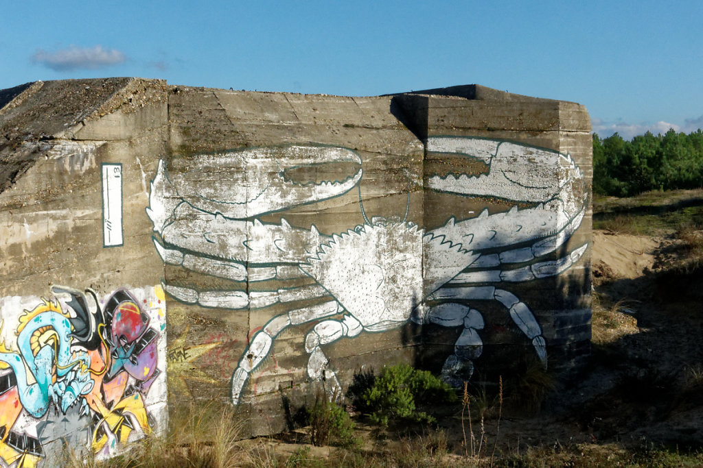 Champignons à la Pointe Espagnole