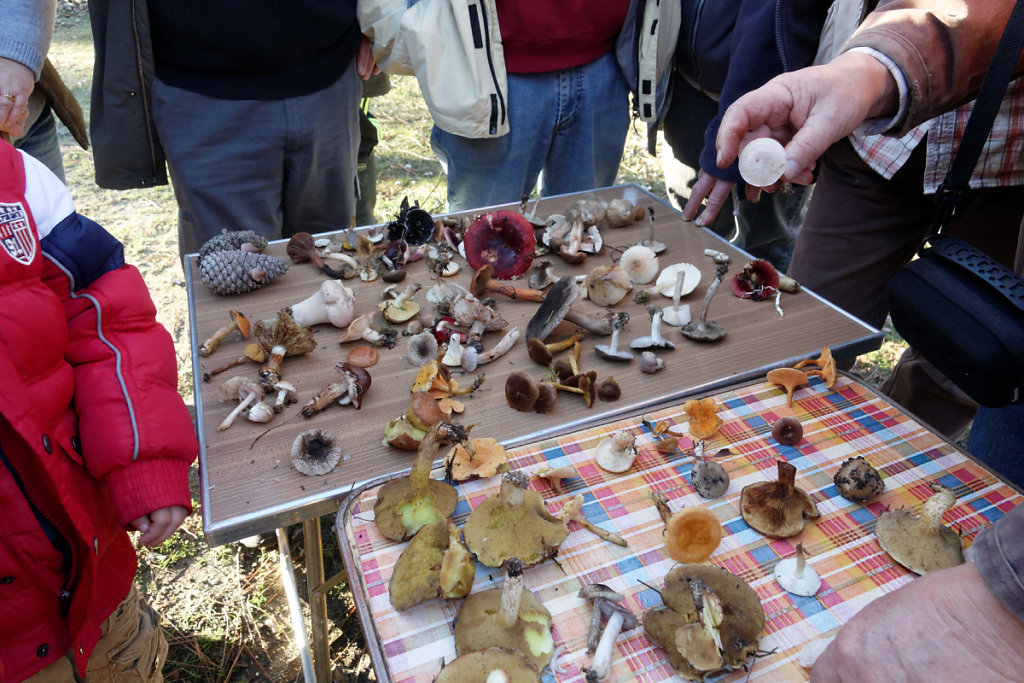 Beaucoup de variétés.