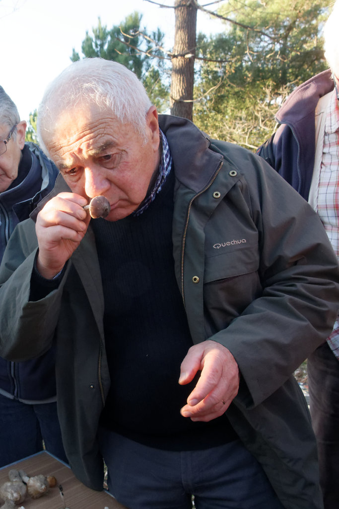 Un champignon se respire ! 