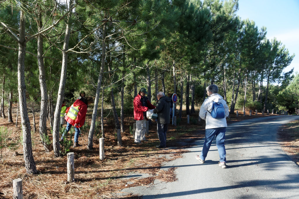 Premières trouvailles