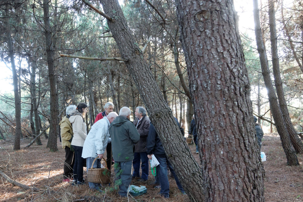 On ouvre grand les yeux et les oreilles