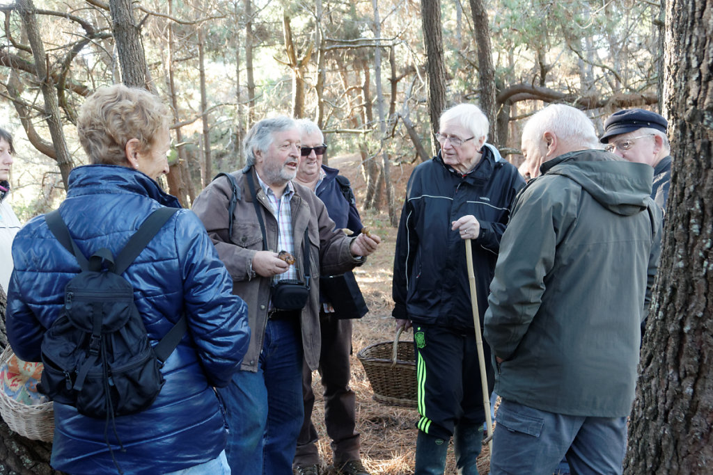 Dialogue entre mycologues avertis