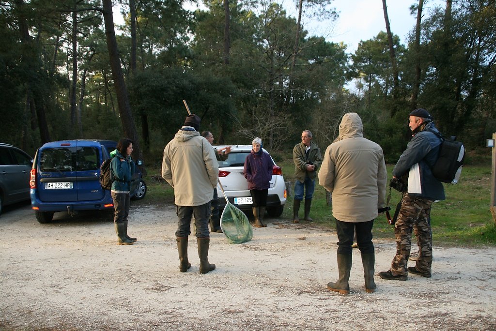 on attend la nuit...