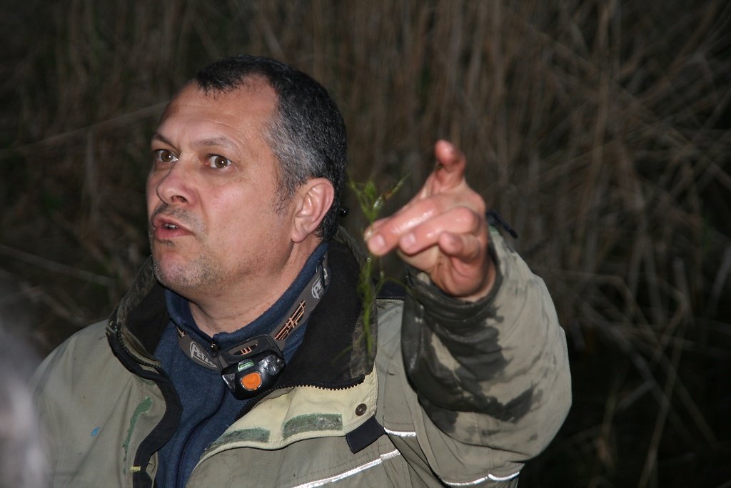 les herbes aquatiques, sachons les reconnaître