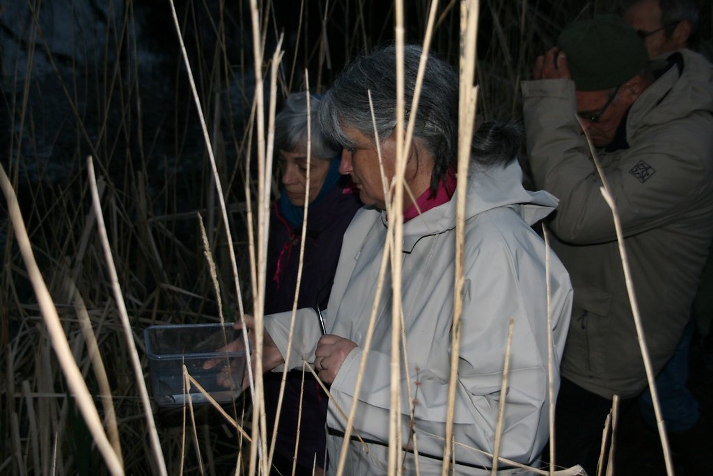 même dans cette boîte pas facile de voir les détails