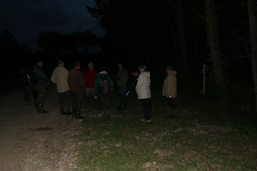 au bord de la mare pour écouter les grenouilles