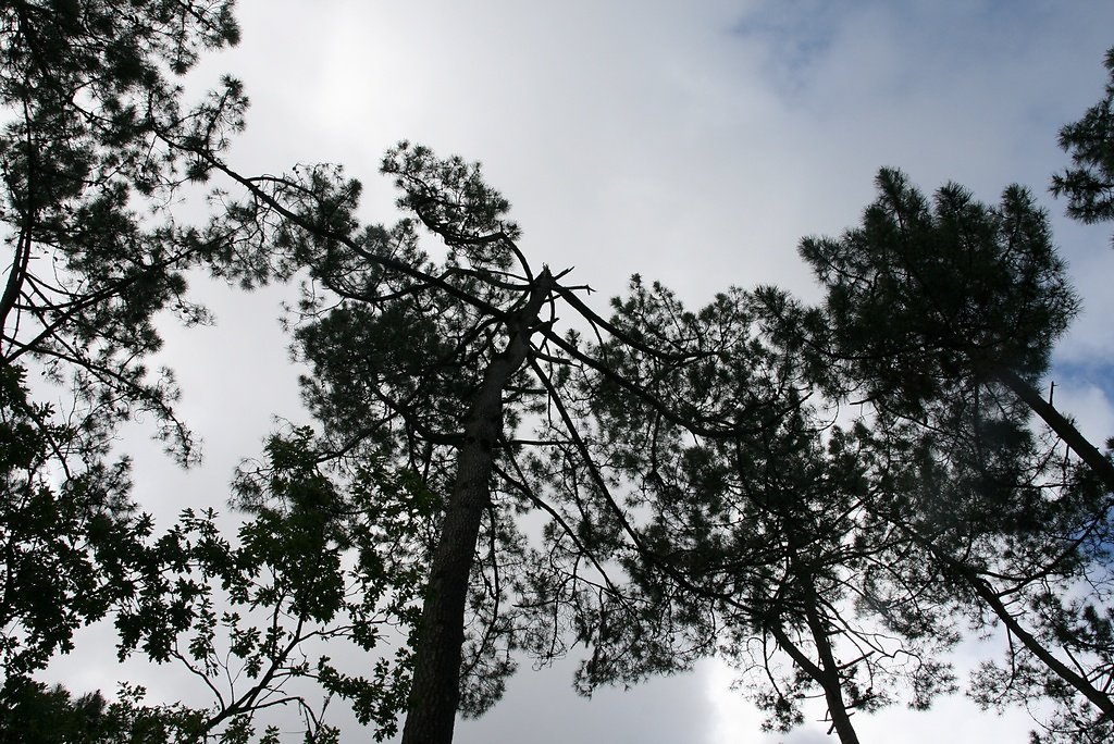 accidents météorologiques