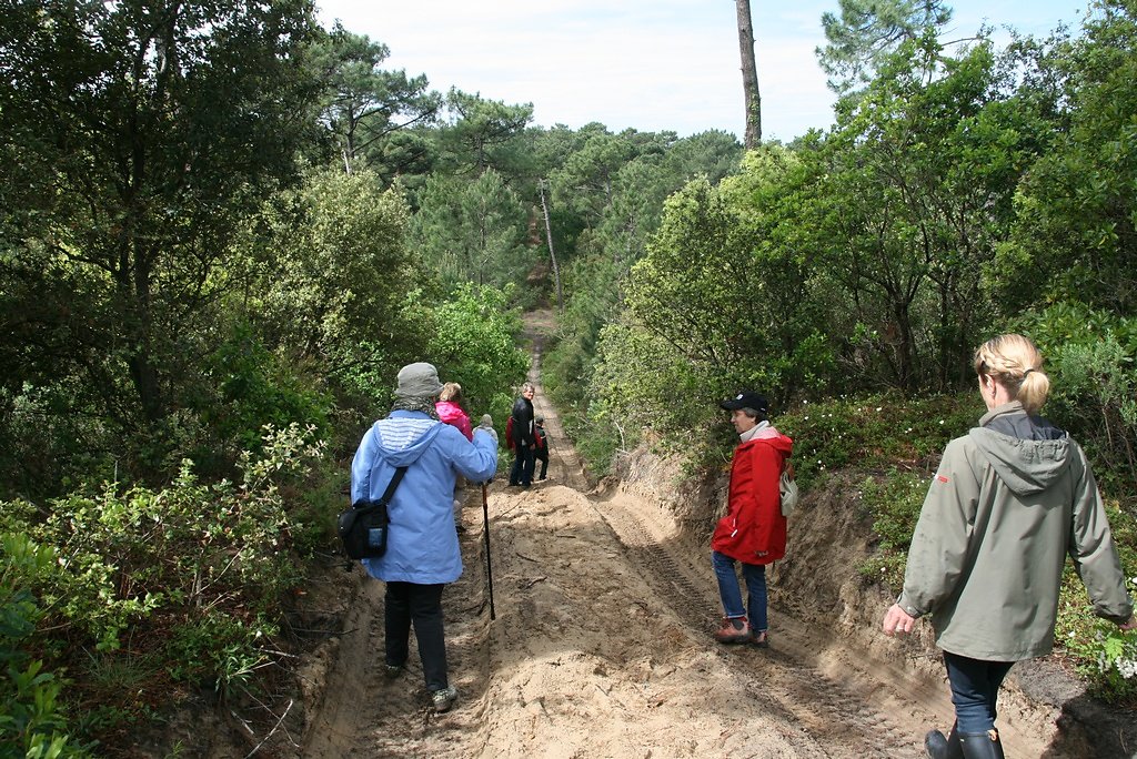 le terrain n'est pas plat