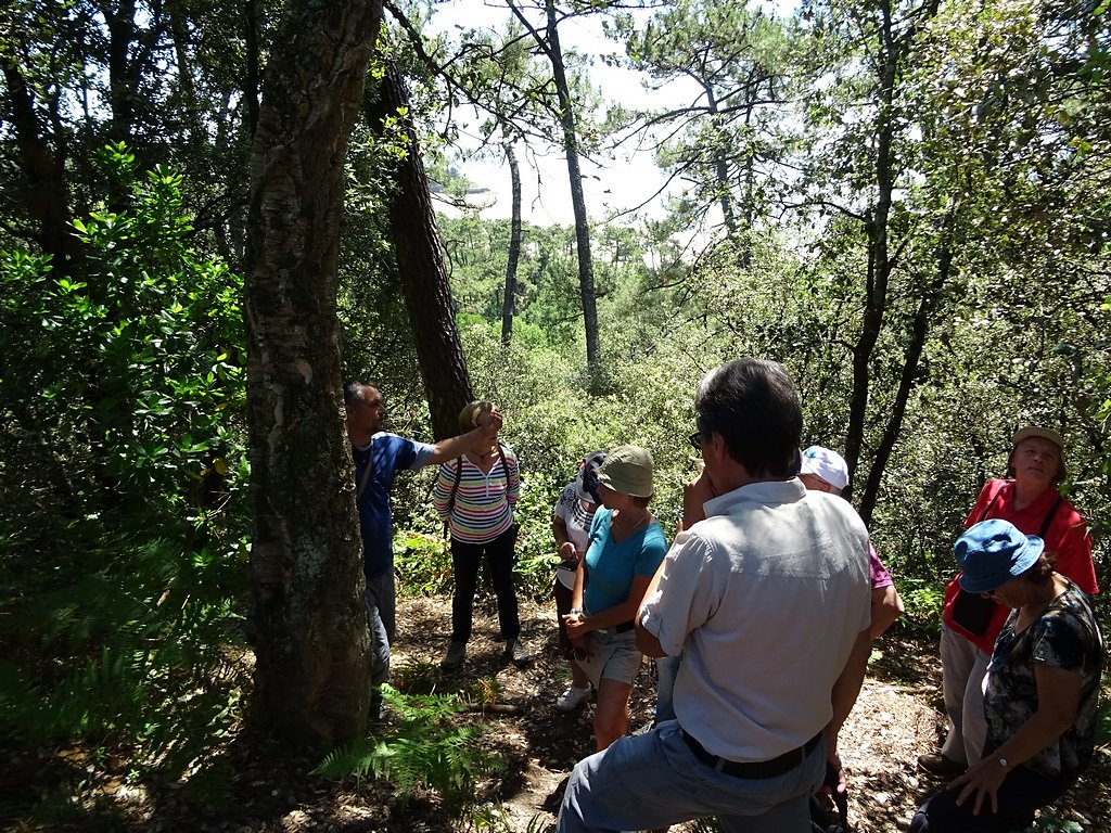 les essences présentes