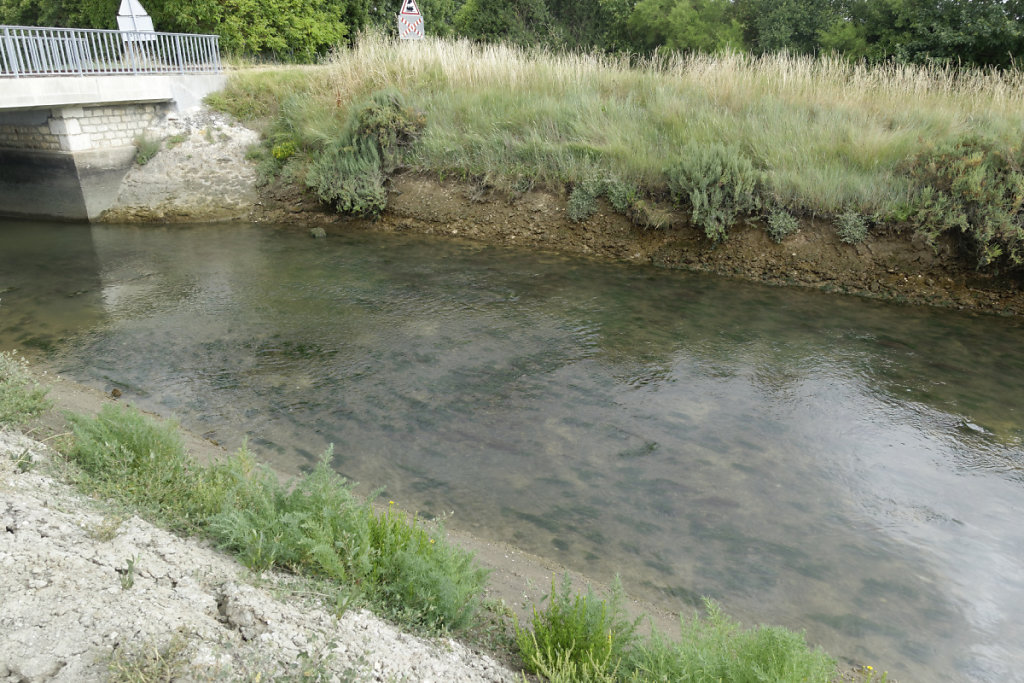 Prise d'eau : chenal de Plordonnier