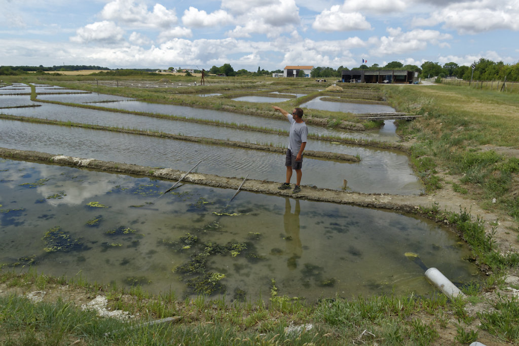 Le saunier en son royaume nous précise la circulation de l'eau.