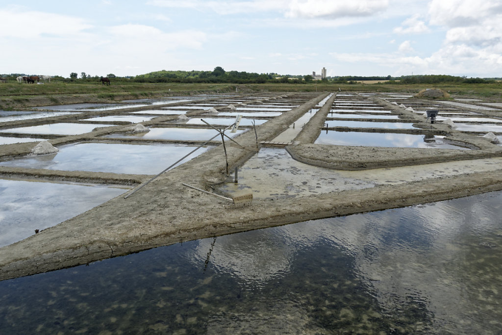 Le gros sel se récolte le matin