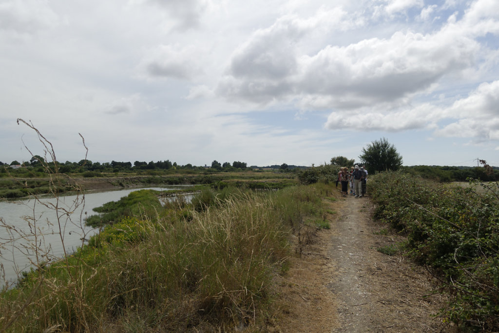 Chemin de randonnée sur la levée qui protège claires de la submersion