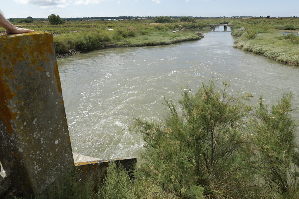 Distribution de l'eau par la varagne