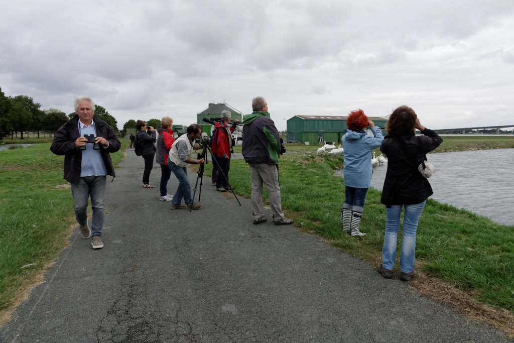 Premières observations