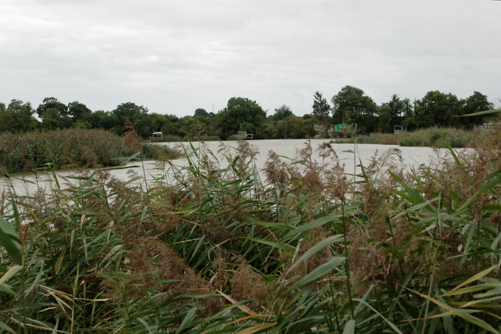 La Charente en fond de photo