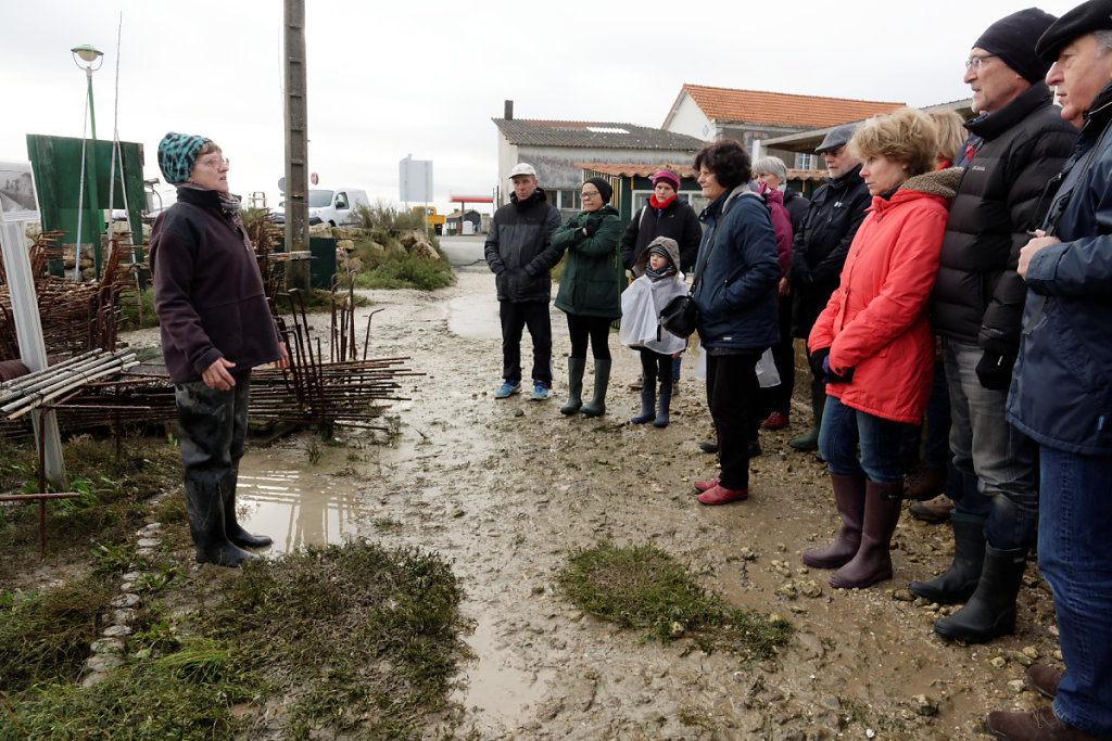 Visite d'un établissement ostréicole