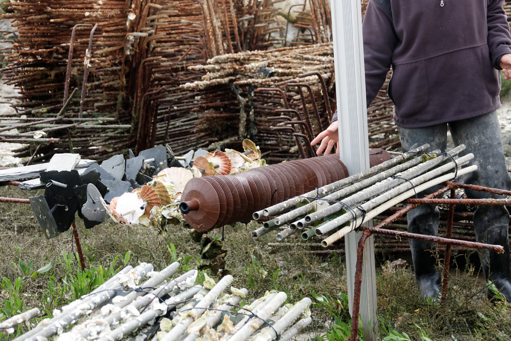 Différents types de collecteurs