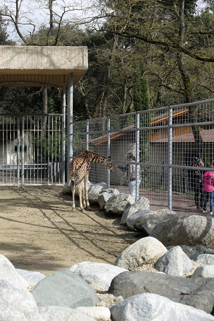 Le Zoo de la Palmyre