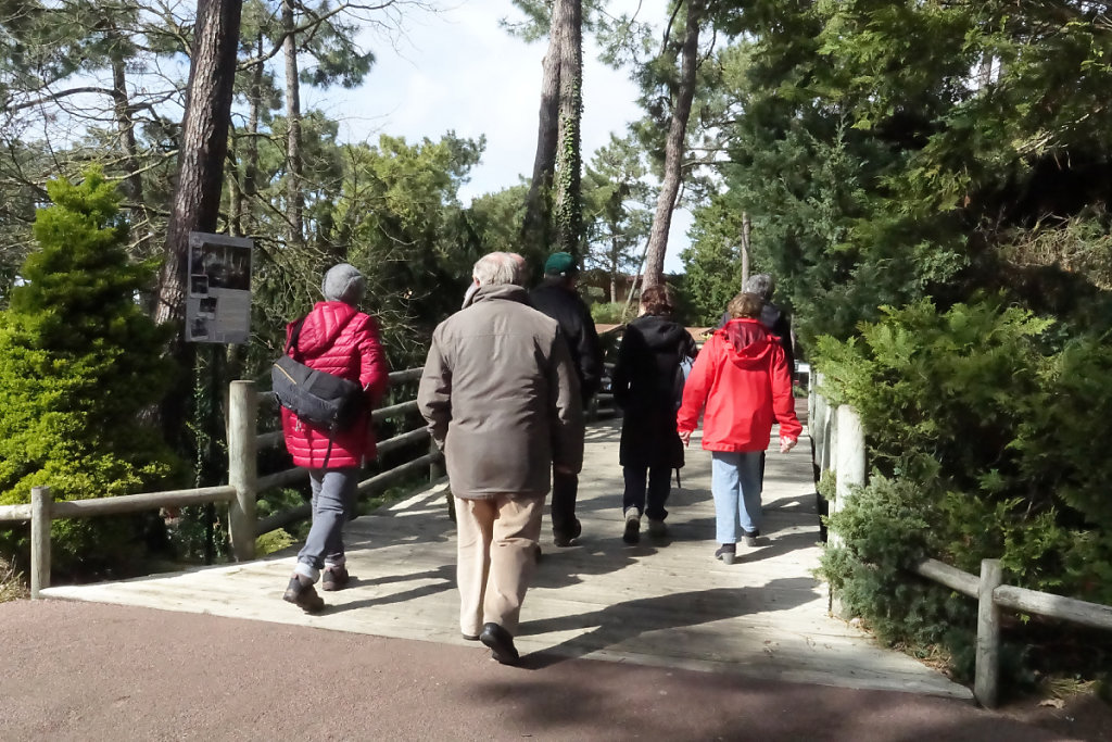 En route vers les éléphants