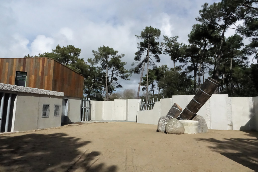 Paddock en période de must