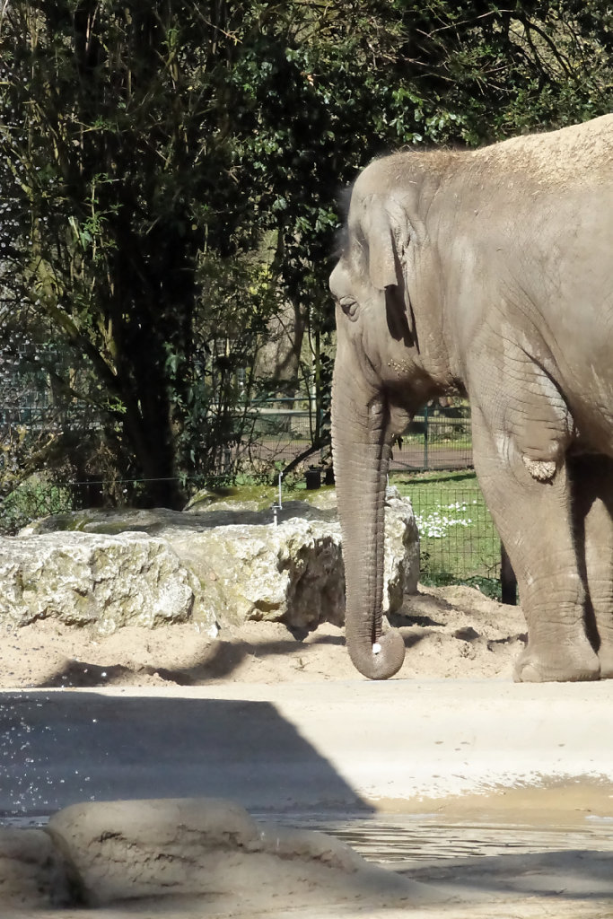 Jeu avec les cailloux