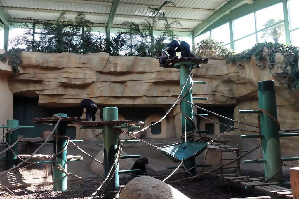 Le groupe vaque à ses occupations