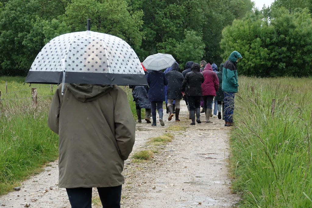 No comment, il pleut ...