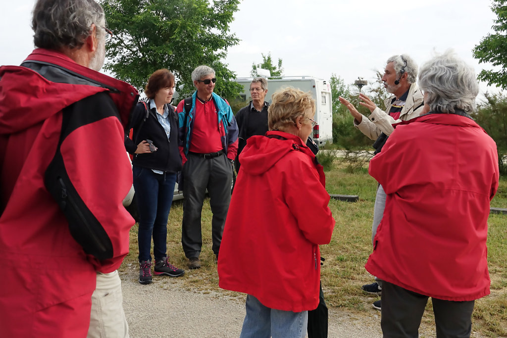 Sur les terres du Conservatoire du Littoral à Brouage