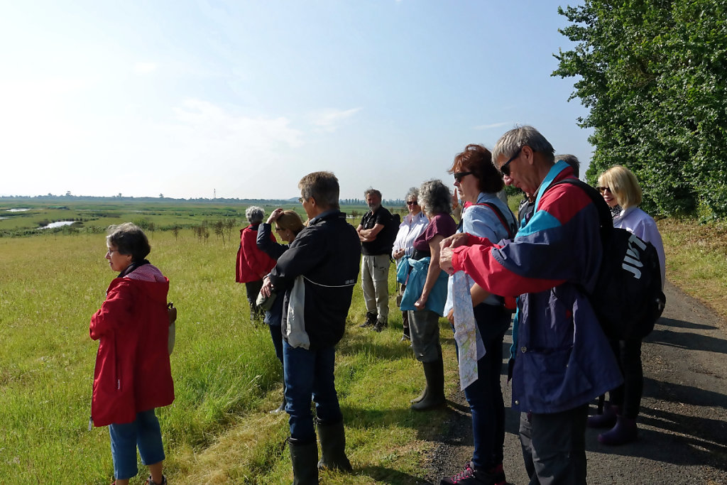 Devant les prairies du Conservatoire