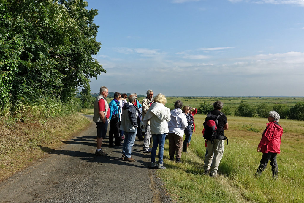 Le marais de Brouage
