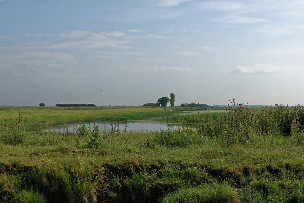 Les Marais, entre terre et eau