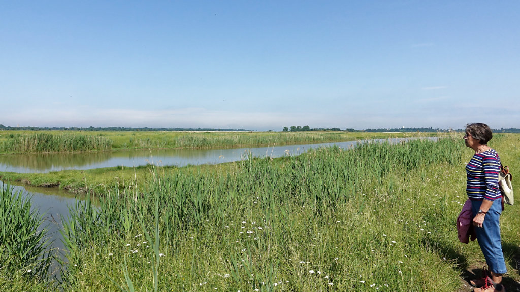 Pas de reliefle regard se perd au loin