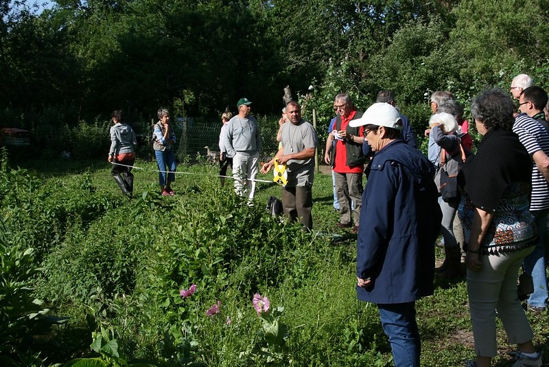 évaluetion de ses dimensions