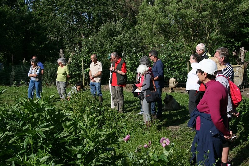 Que va ramener l'épuisette ?