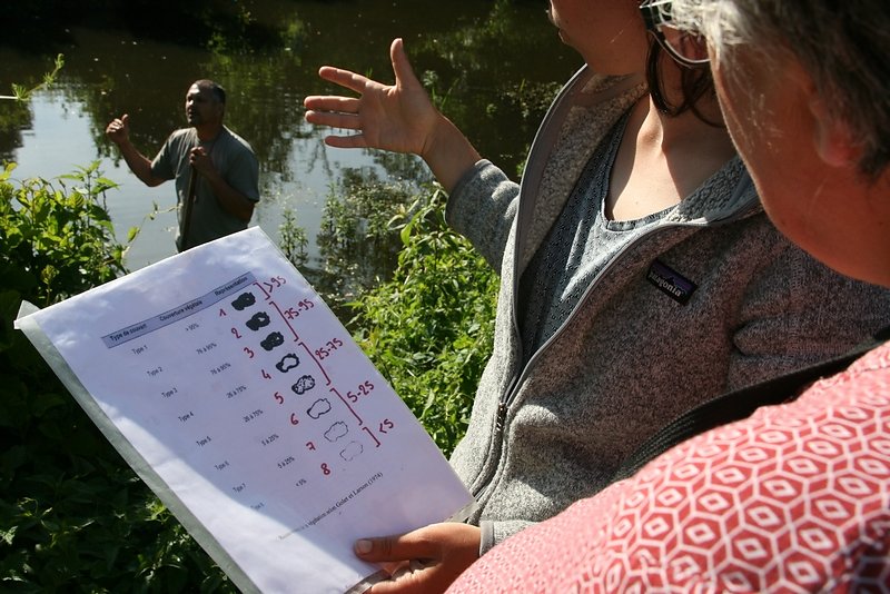 caractérisation du couvert végétal