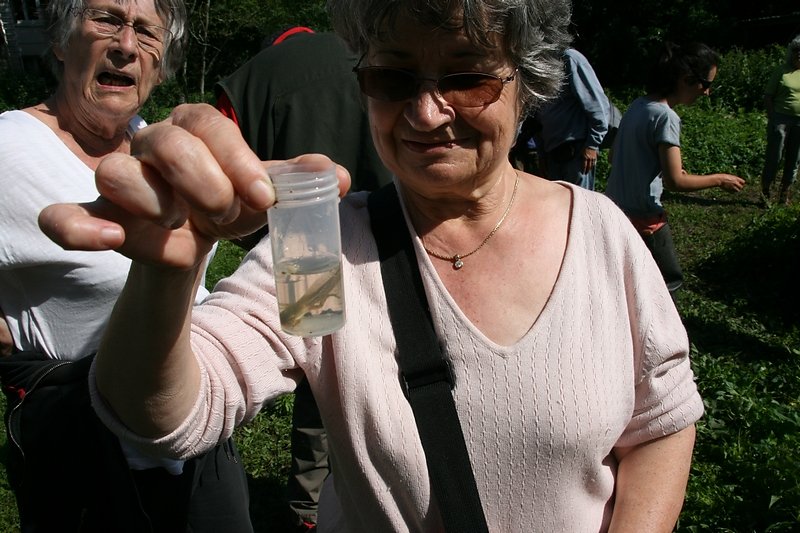 future grenouille agile