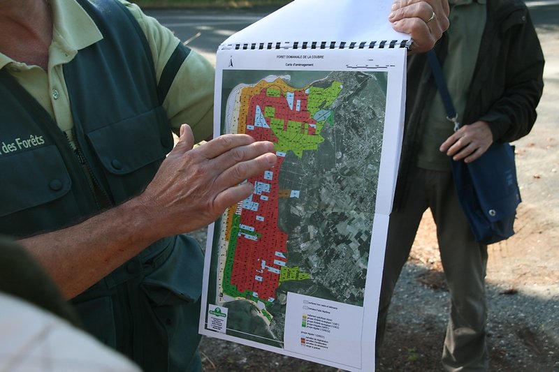 Gestion de la forêt