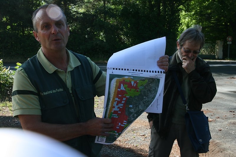 La Coubre forêt de 5000Ha