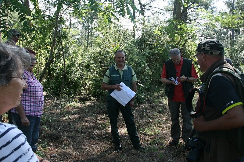 découverte sur le terrain du vocabulaire forestier