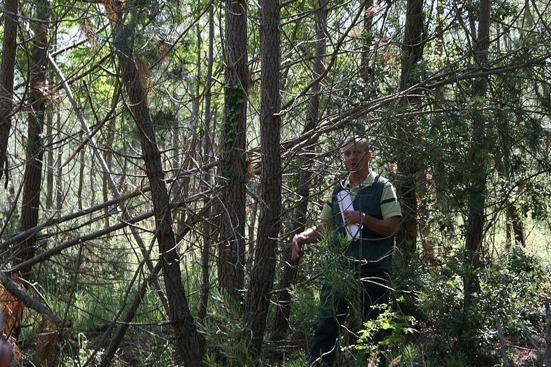 explications claires pour chacune des parcelles traversées