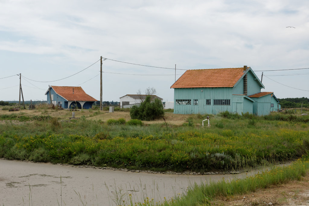 Cabanes ostréicoles Port de Coux