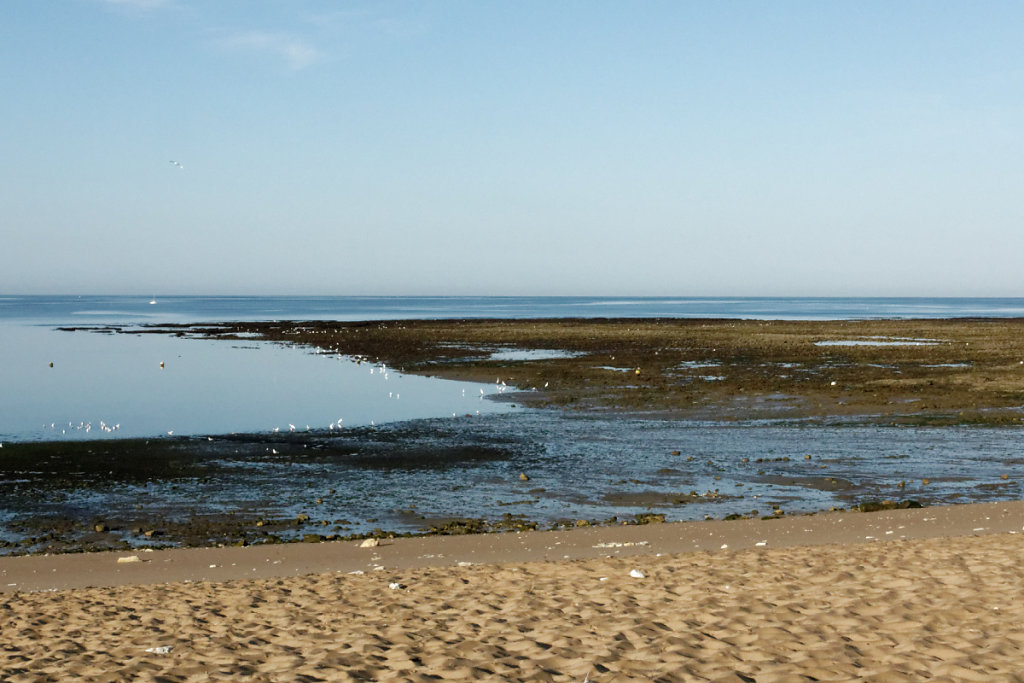 L'estran à Oléron