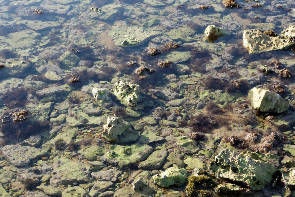 Limpidité de l'eau.